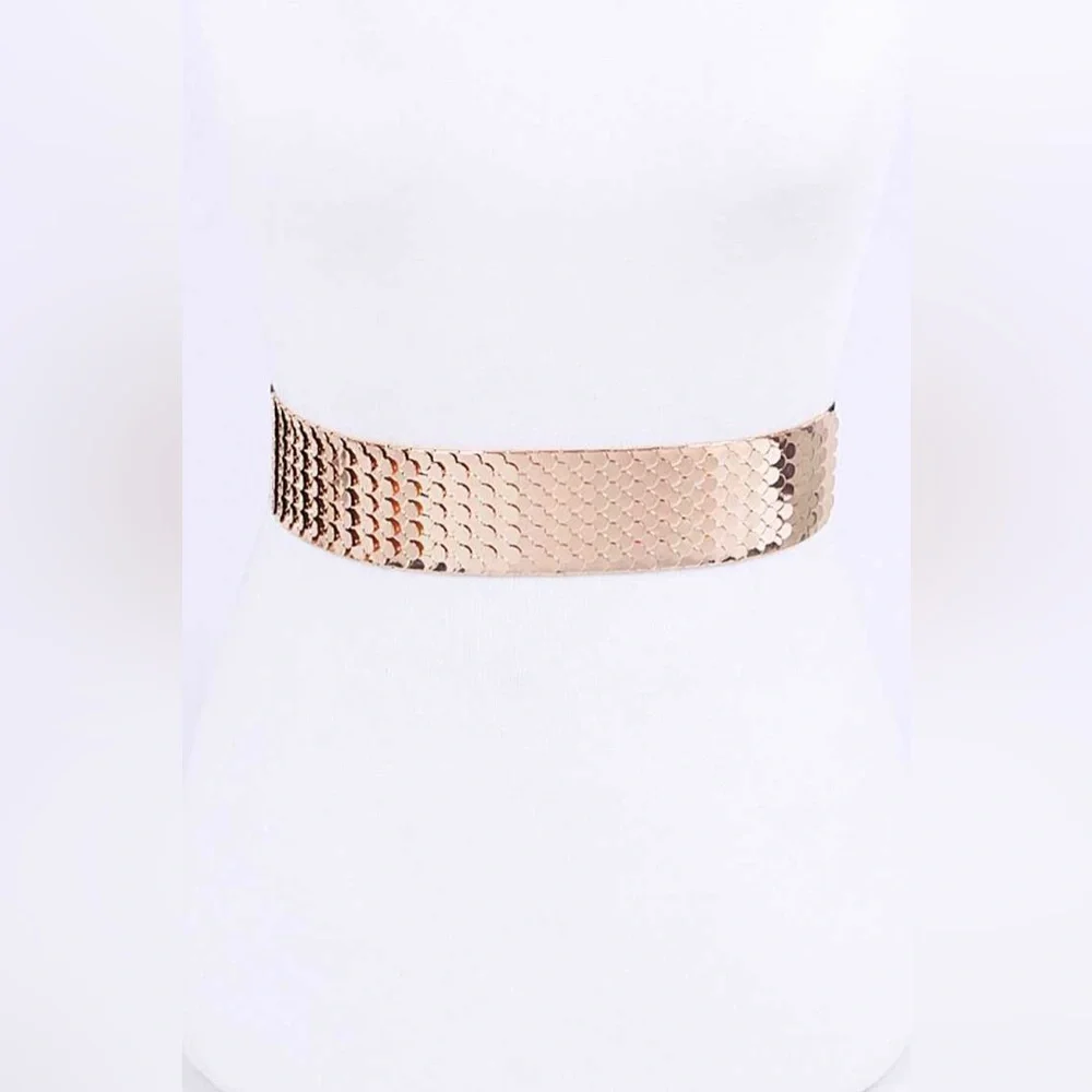 Metal Fashion Statement Belt